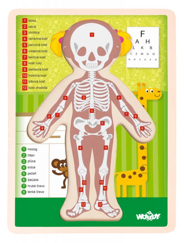 Woody Puzzle "Ľudské telo" - Dievča SK