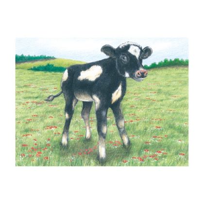 Goki Kocky Zvieratká na farme 9 ks