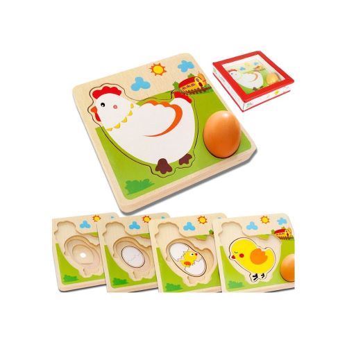Montessori 3D puzzle Vývojové štádia - kura 