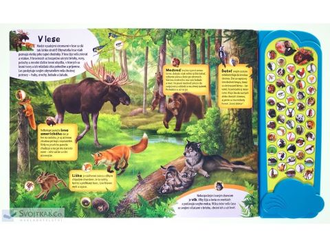 Húú! Mňau! Vrr! Vypočujte si zvieratá z celého sveta!