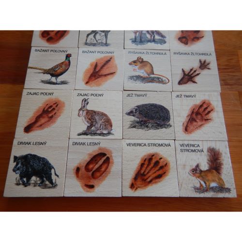 Lesní svět Edukačné pexeso Zver a stopy