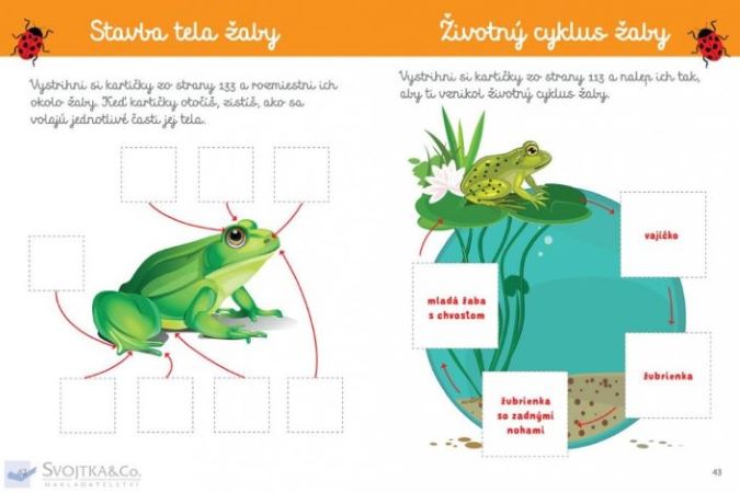 Môj veľký zošit Montessori Objavuj svet