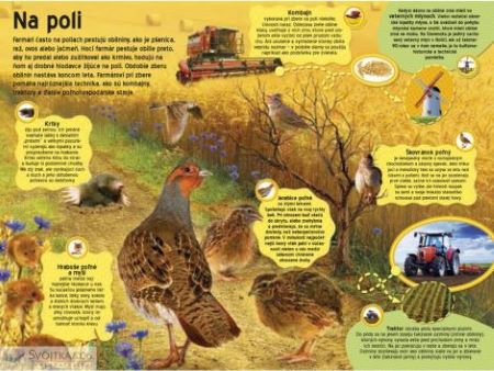 Veľká kniha zvukov Na farme