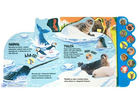 Húú! Mňau! Vrr! Vypočujte si zvieratá z celého sveta!