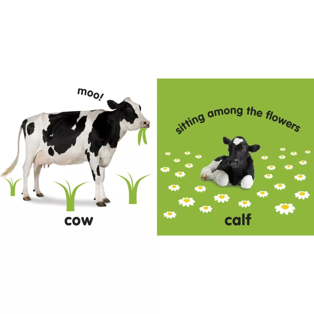 Leporelo Baby Touch and Feel - Farm Animals