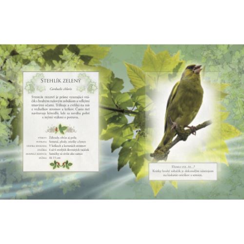 Vtáky našich záhrad