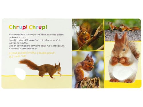 Leporelo Zvieratká z lesa - Počúvaj, kto to môže byť?