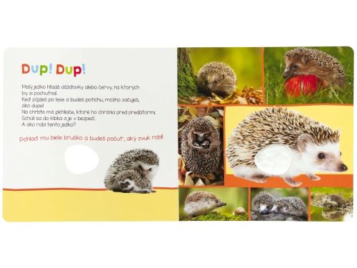 Leporelo V prírode - Počúvaj, kto to môže byť?