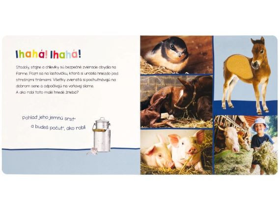 Leporelo Farma - Počúvaj, kto to môže byť?