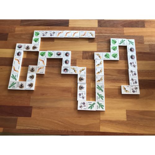 Lesní svět Edukačné domino Stromy