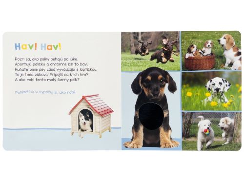 Leporelo Domáci maznáčikovia - Počúvaj, kto to môže byť?