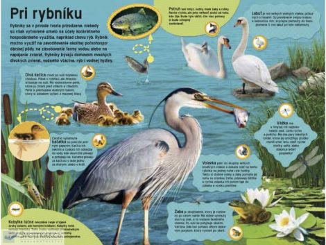 Veľká kniha zvukov Na farme