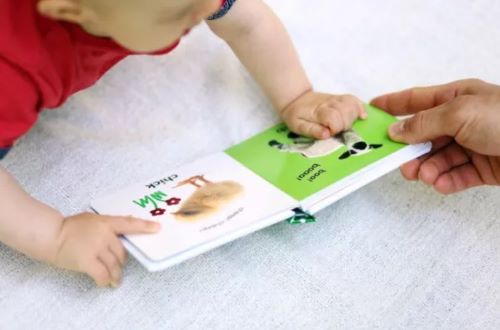 Leporelo Baby Touch and Feel - Farm