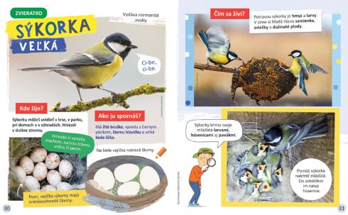 Koliesko ZIMA – hravé úlohy s nálepkami