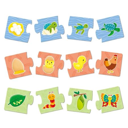 Galt puzzle Ako veci rastú