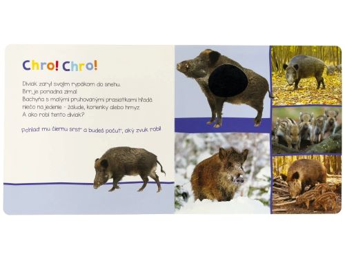 Leporelo Zvieratká z lesa - Počúvaj, kto to môže byť?