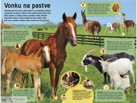 Veľká kniha zvukov Na farme