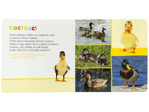 Leporelo V prírode - Počúvaj, kto to môže byť?