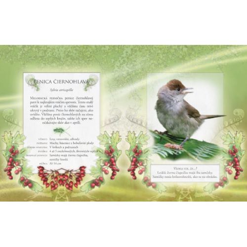 Vtáky našich záhrad