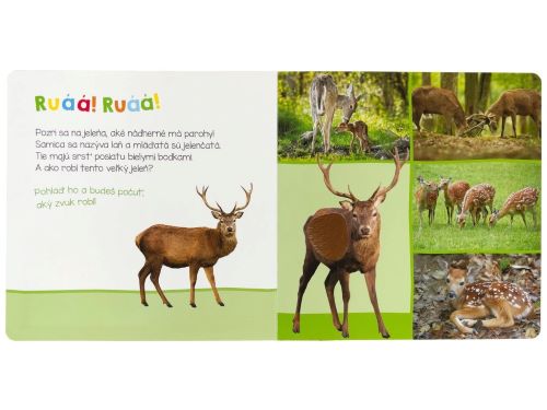 Leporelo Zvieratká z lesa - Počúvaj, kto to môže byť?