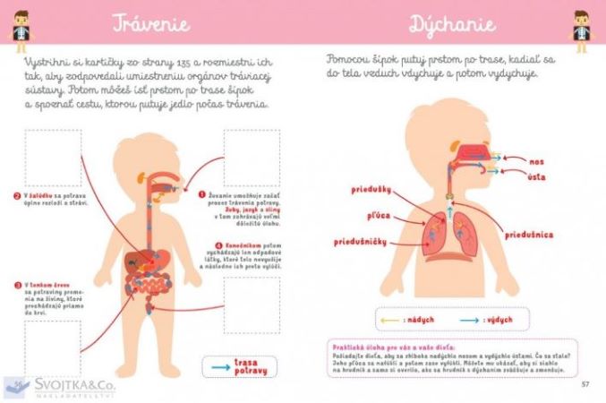 Môj veľký zošit Montessori Objavuj svet