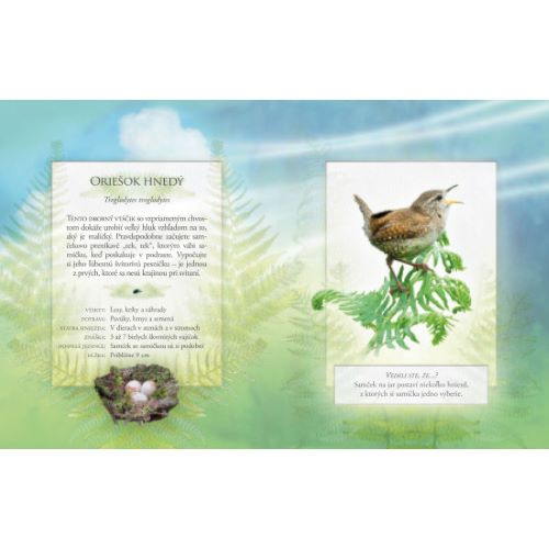 Vtáky našich záhrad